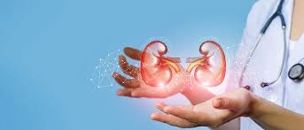 Cost of Kidney transplant in India